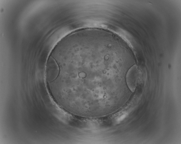 X0000087640895200705031507