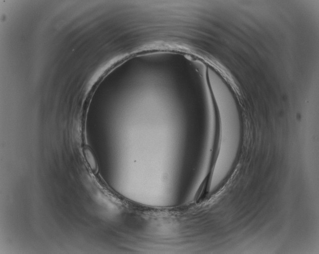 X0000087640896200705031507