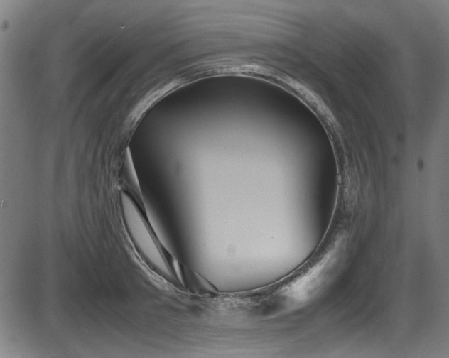 X0000087640897200705031507