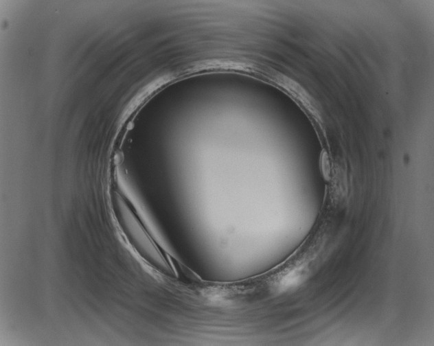 X0000087640898200705031507