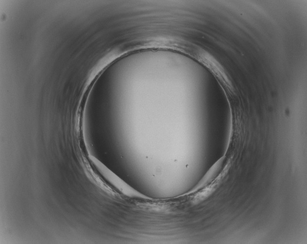 X0000087640900200705031507