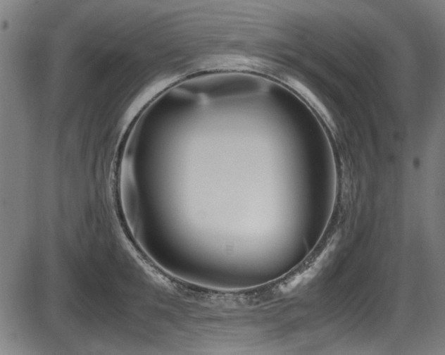 X0000087640901200705031507