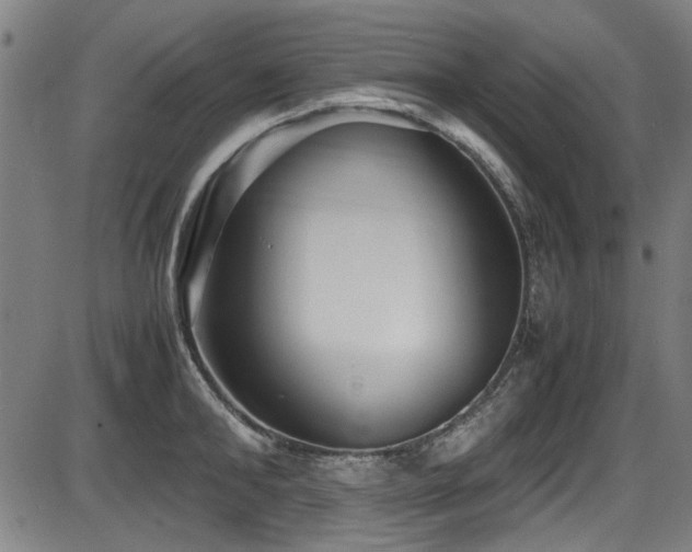 X0000087640902200705031507