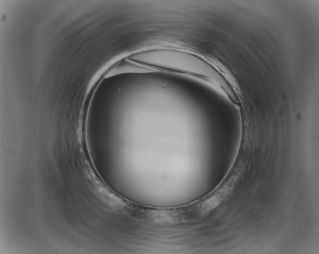 X0000087640904200705031507