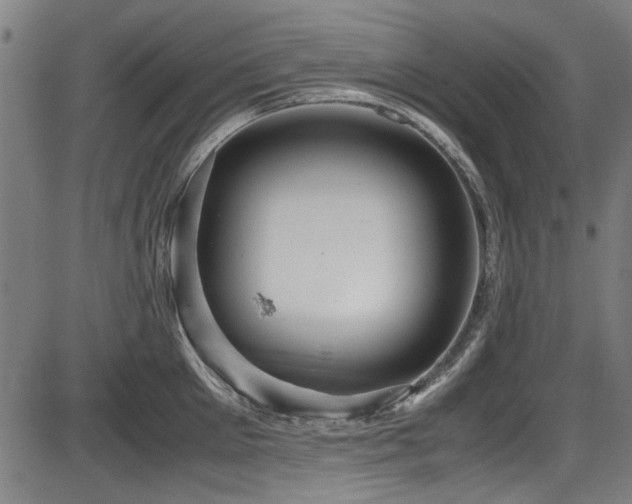 X0000087640905200705031507