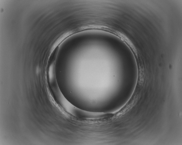 X0000087640906200705031507