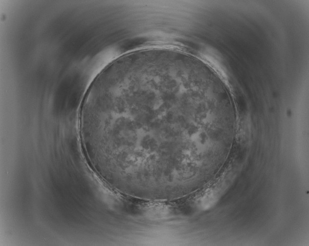 X0000087640907200705031507