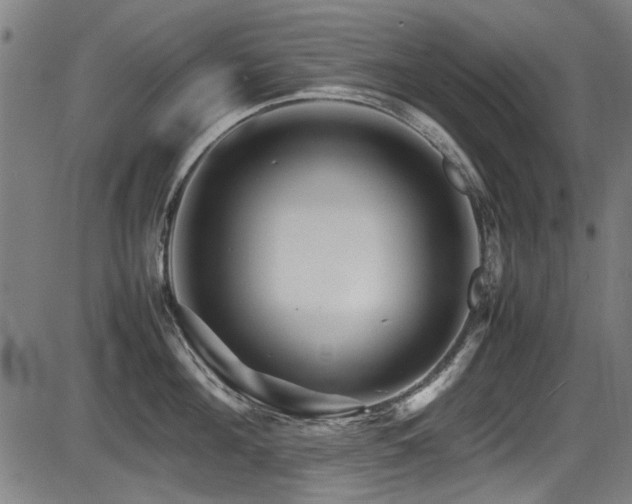 X0000087640908200705031507