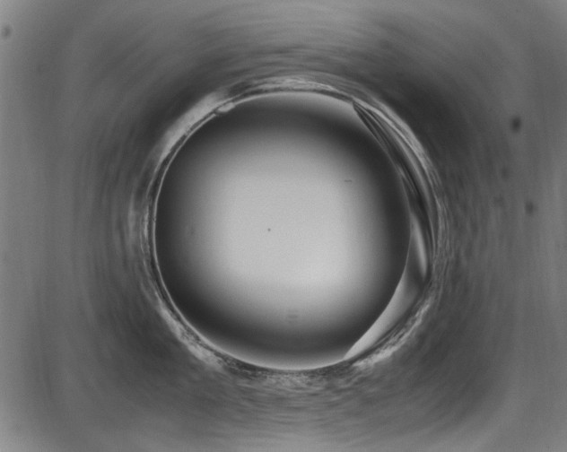 X0000087640909200705031507