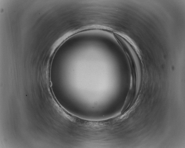 X0000087640910200705031507