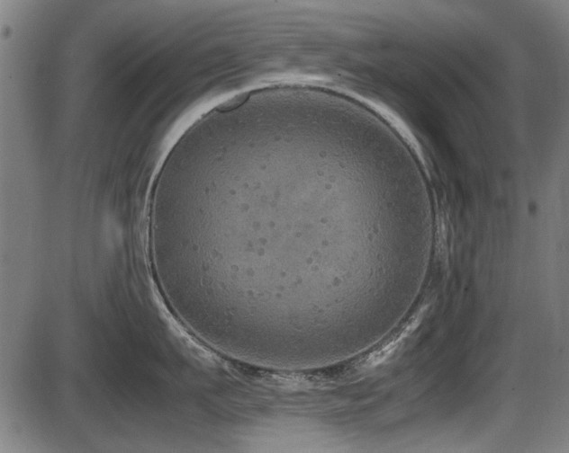 X0000087640911200705031507