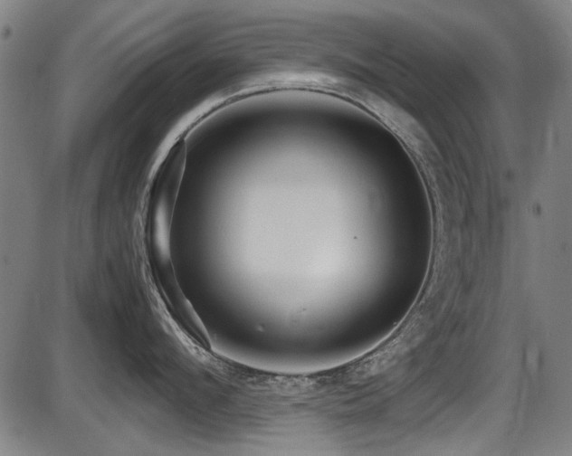 X0000087640912200705031507