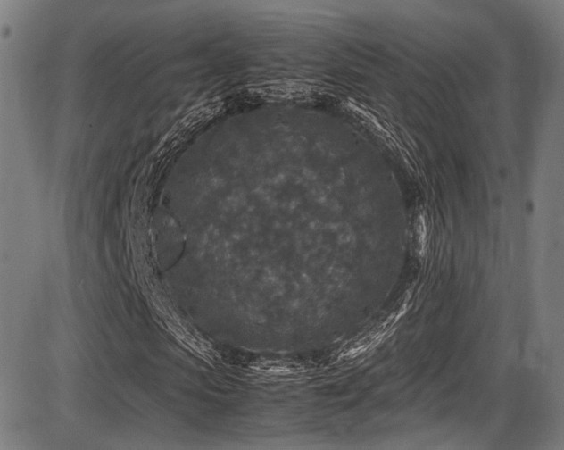 X0000087640913200705031506