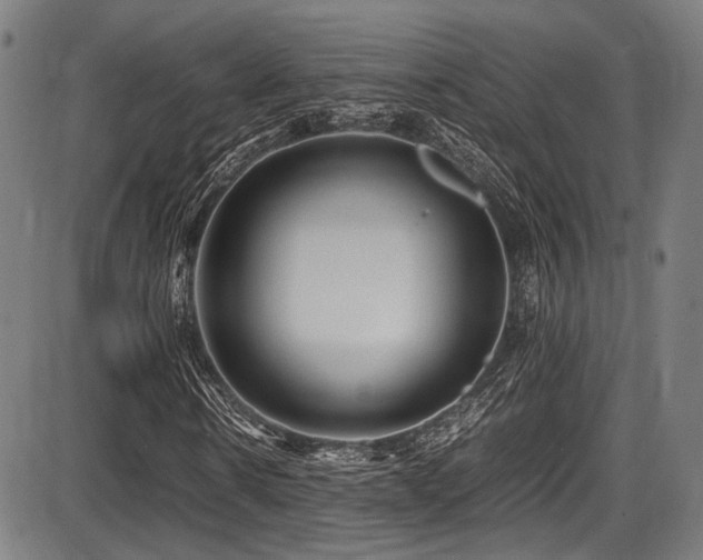 X0000087640914200705031506