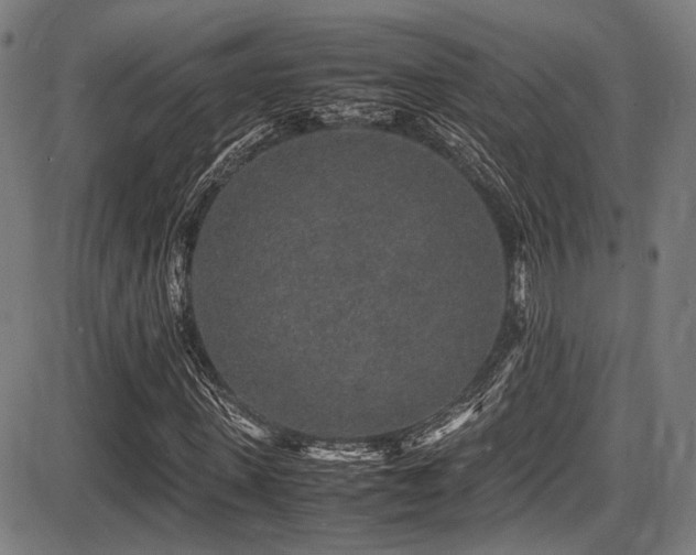 X0000087640915200705031506