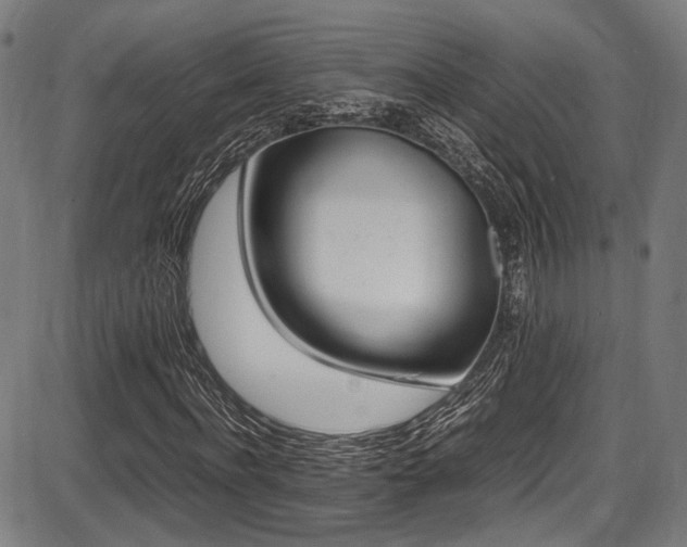 X0000087640916200705031506