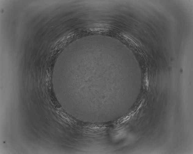 X0000087640917200705031506