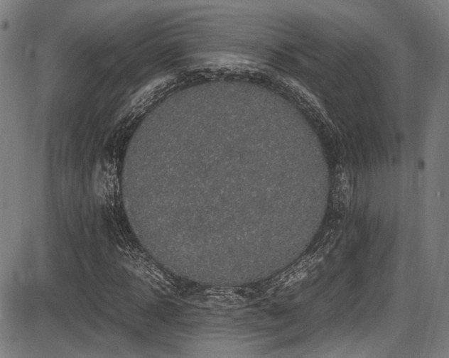 X0000087640918200705031506