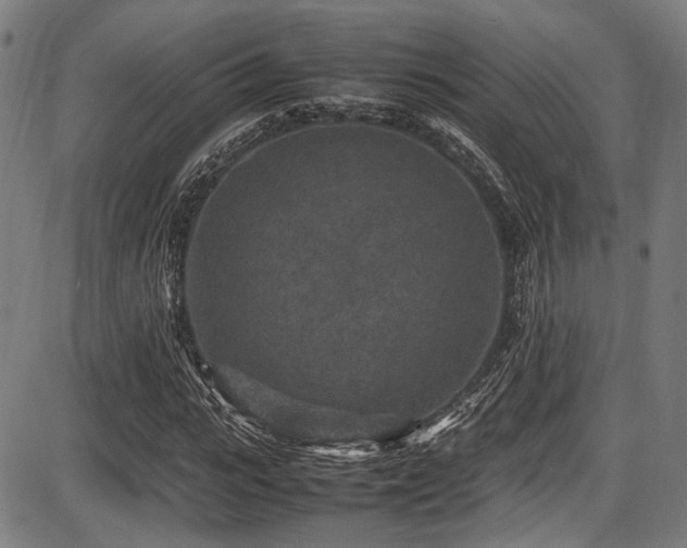 X0000087640919200705031506