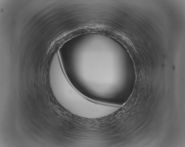 X0000087640920200705031506