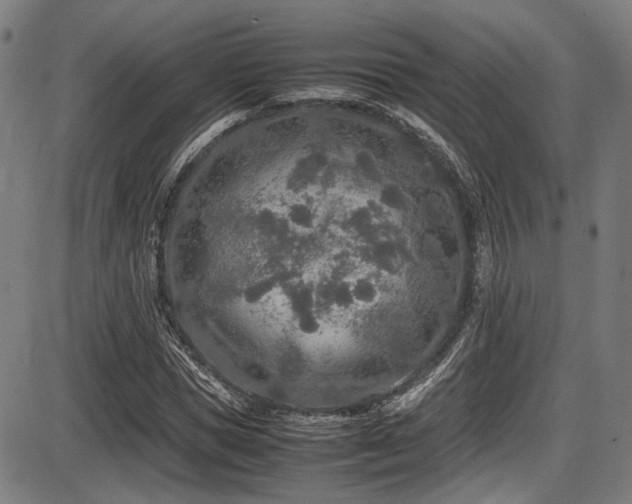 X0000087640921200705031506