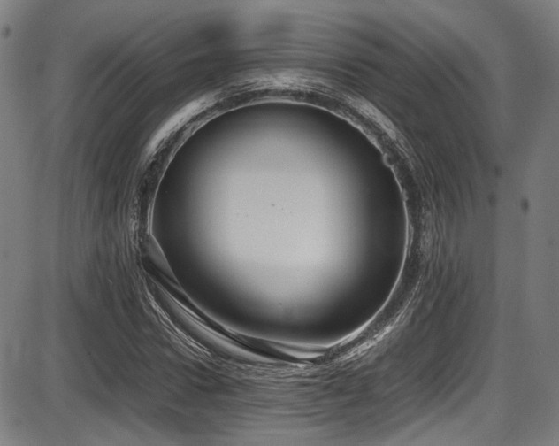 X0000087640922200705031506