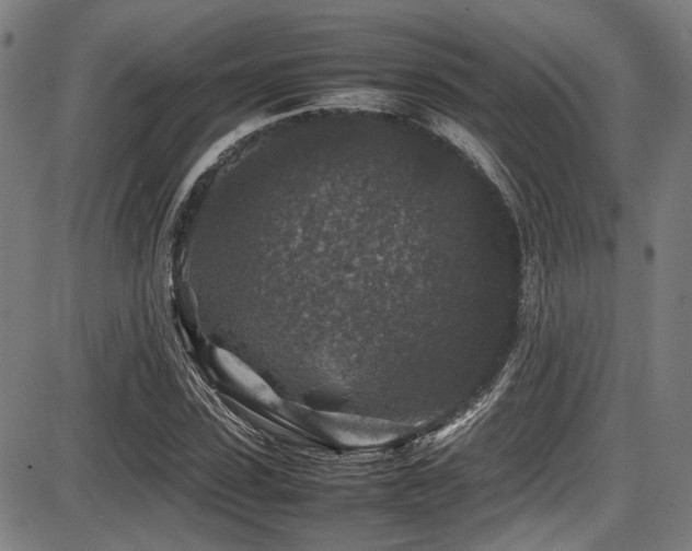 X0000087640923200705031506