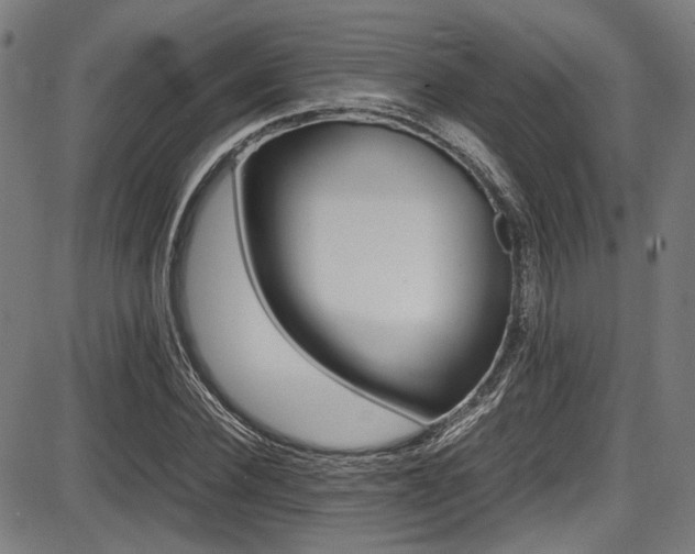 X0000087640924200705031506