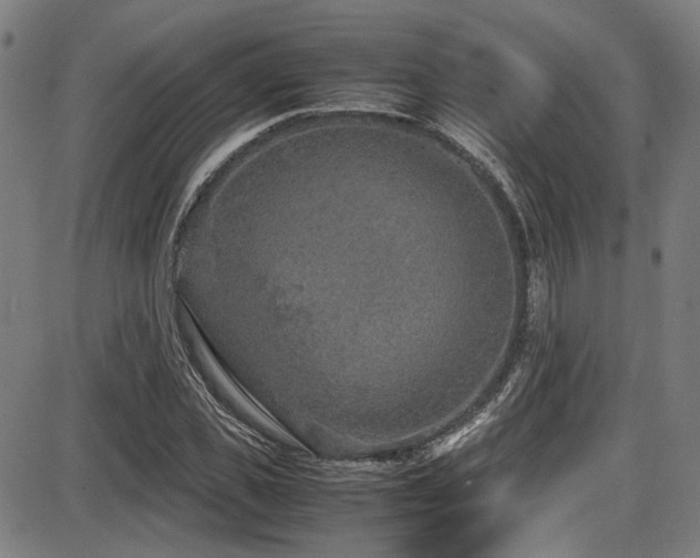 X0000087640925200705031506