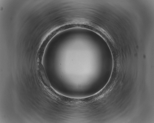 X0000087640926200705031506