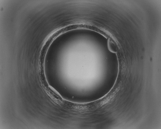 X0000087640927200705031506