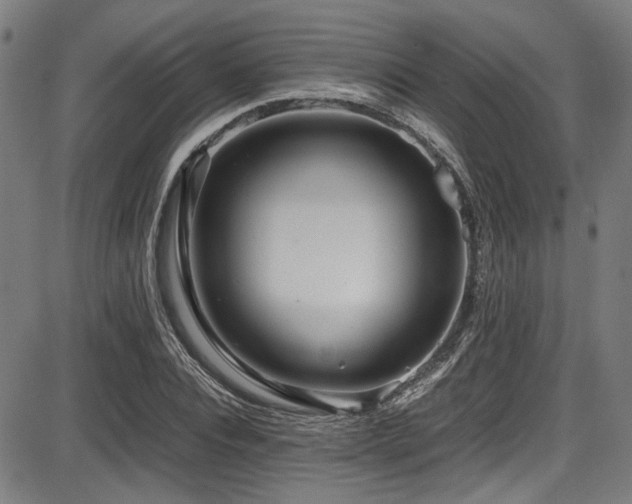 X0000087640928200705031507