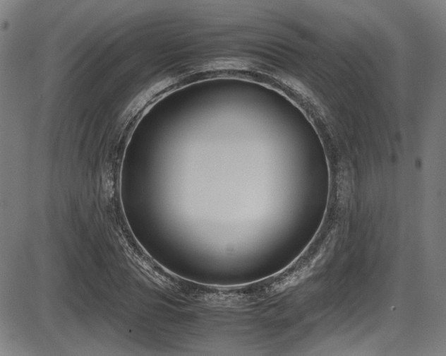 X0000087640929200705031507