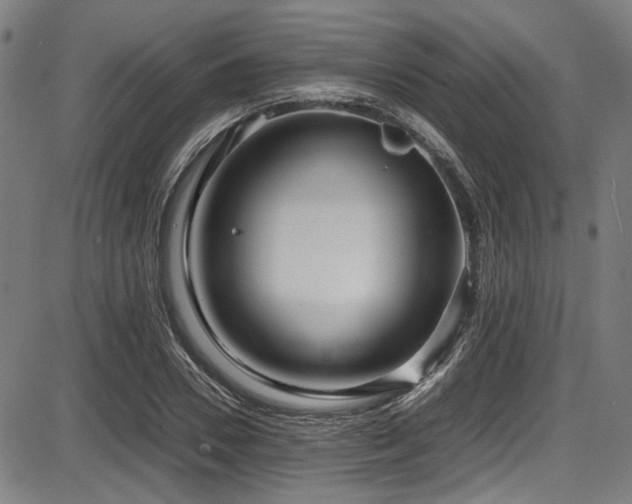 X0000087640930200705031507