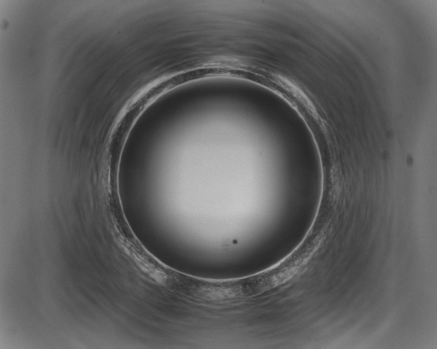 X0000087640931200705031507