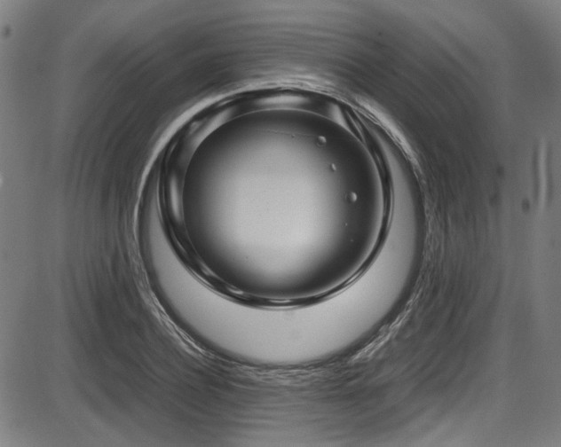 X0000087640932200705031507