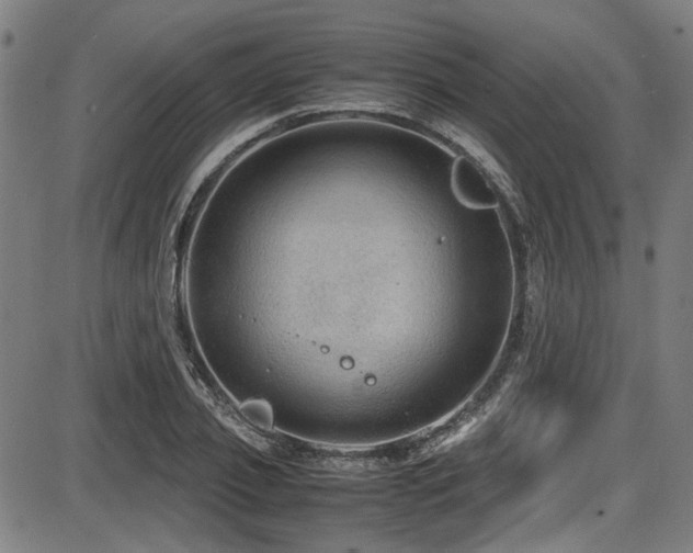 X0000087640933200705031507