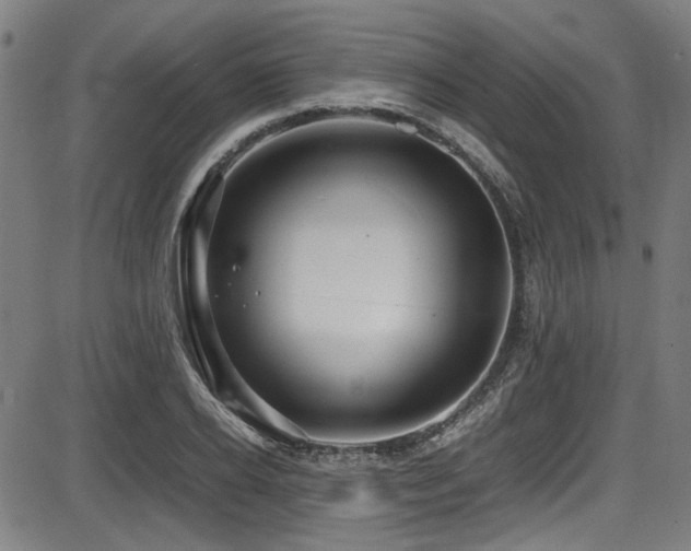 X0000087640934200705031507