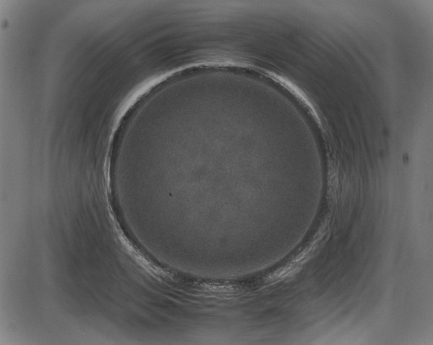 X0000087640935200705031507