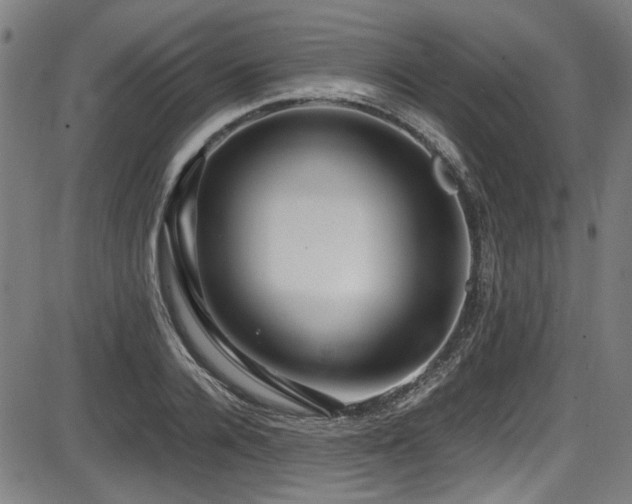 X0000087640936200705031507