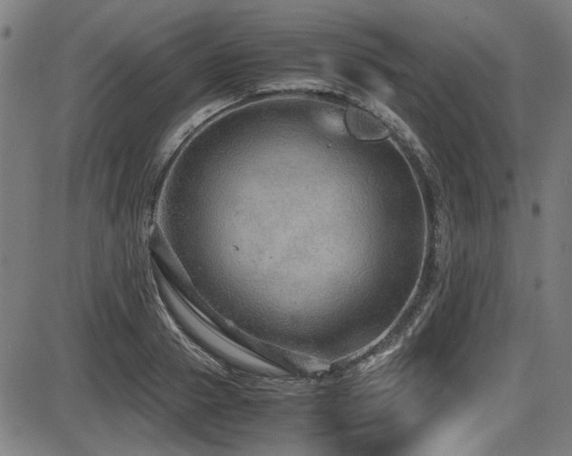 X0000087640937200705031507