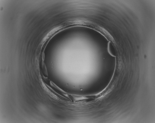 X0000087640938200705031507