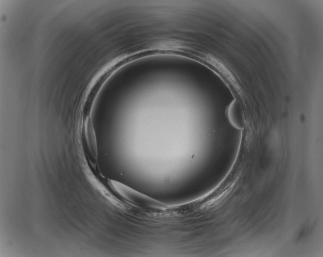 X0000087640939200705031507