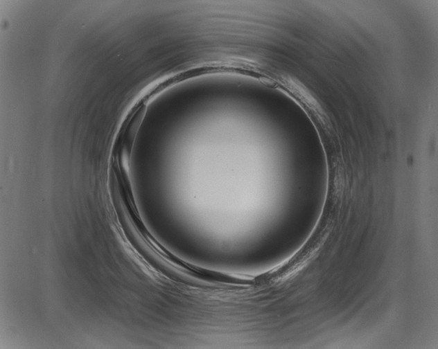 X0000087640940200705031507