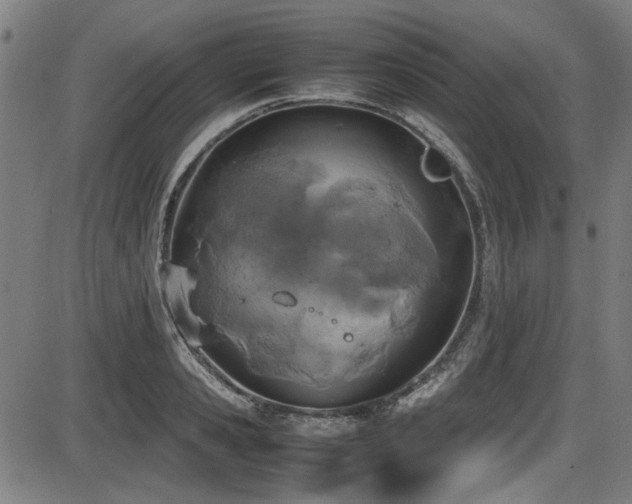 X0000087640941200705031507