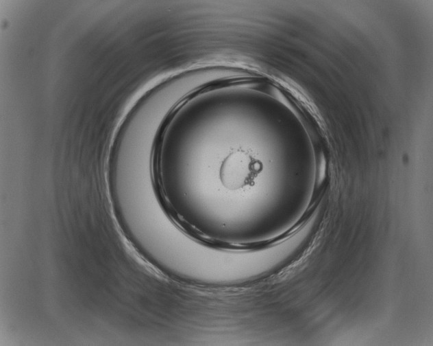 X0000087640942200705031507