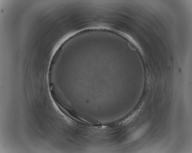 X0000087640943200705031507