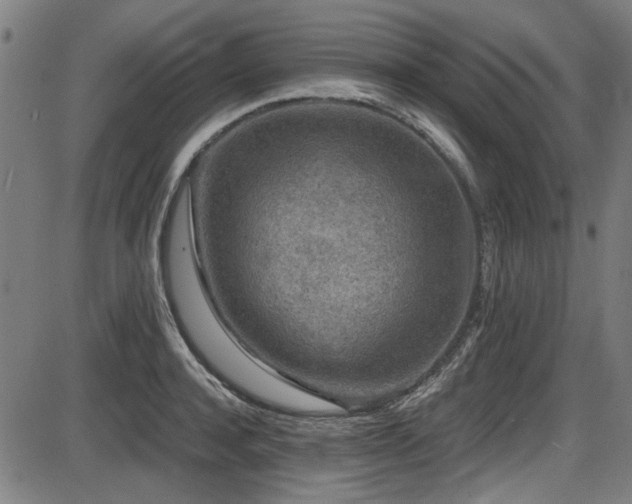 X0000087640944200705031507