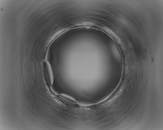 X0000087640945200705031507