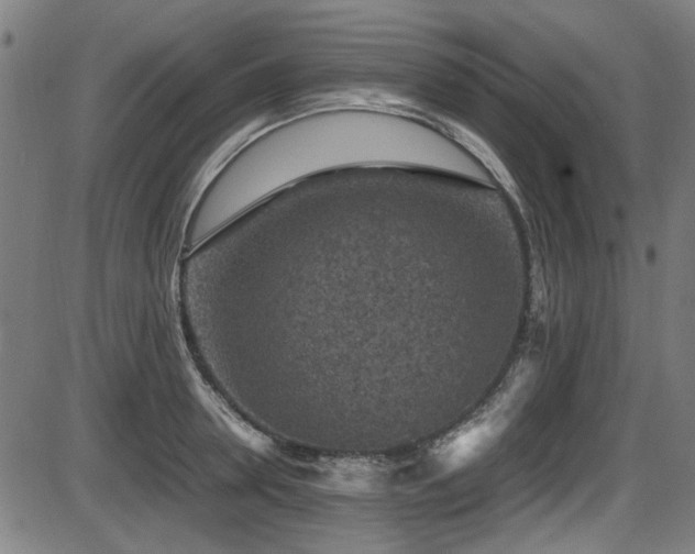 X0000087640946200705031507